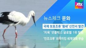 [뉴스체크｜문화] 국제 보호조류 '황새' 신안서 발견