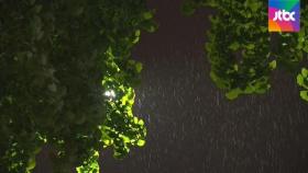 [날씨] 밤부터 전국 곳곳에 비…초여름 더위 주춤