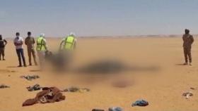 리비아 사막의 비극…이민자 추정 시신 20구 발견