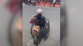 [영상] 손발 못 가누는 주인 휠체어 밀고 횡단보도 건넌 반려견 '감동'