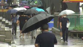 [날씨] 남부지방 오전까지 비…주말 전국에 가끔 비