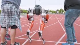 100m 달리기 24초 만에 주파…이족 로봇 '세계 기록'｜AI가 Pick한 세상