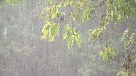 [날씨] 흐리고 곳곳 빗방울…20도 안팎으로 '쌀쌀'