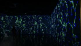 [영상구성] 마법 같은 가상 세계…미구엘 슈발리에 '디지털 뷰티'