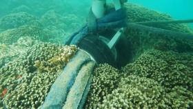 산호초 위 불시착한 미 해군초계기…영상 공개되자 논란 [월드 클라스]