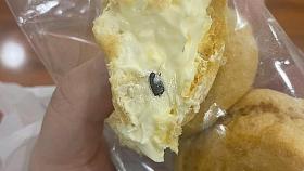 빵 속 크림에 파묻힌 바퀴벌레…