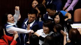 [영상] 대만 의회 난투극…'동물 국회' 망신