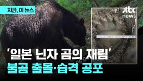 '일본 닌자 곰의 재림?' 불곰 출몰·습격 공포
