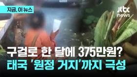 [지금이뉴스] 구걸로 한 달에 375만원?…태국 '원정 거지'까지 극성