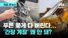 '푸른 꽃게' 다 버린다! '간장 게장' 왜 안 돼?