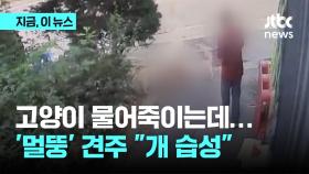 목줄 풀린 반려견과 산책…길고양이 물어죽이는데 