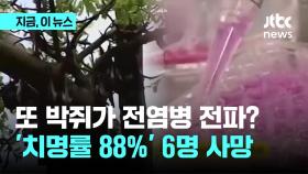 또 박쥐가 전염병 전파? '치명률 88%' 6명 사망