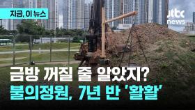 금방 꺼질 줄 알았지?…불의 정원, 7년 반 '활활'