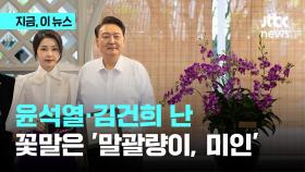 싱가포르에 '윤석열·김건희 난' 자란다…'문재인·김정숙 난' 이어 두번째