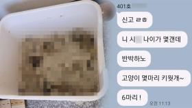 4개월 만에 '고양이 똥밭' 된 월셋집…