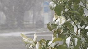 [날씨] 칼바람에 '한파' 계속…호남·제주 '많은 눈'