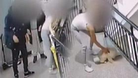 아이 보는데 창밖으로 강아지 '내동댕이'…공개된 영상 [소셜픽]