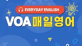 [돌비뉴스] 