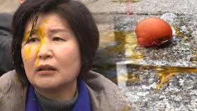 백혜련 얼굴에 '달걀 투척'…