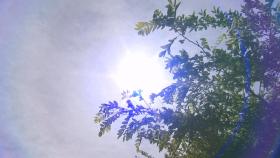[날씨] 전국 초여름 날씨…서울 낮 최고 25도
