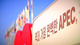 APEC 특별법 통과 5일 뒤 터진 '계엄'…