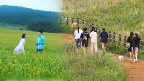 '폭싹' 효과에 제주도 '활짝'…안전도, 물가도 손 보기로