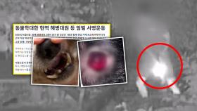 겁 주려고 수백발? '비비탄 해병' 파장…예비역도 분노 [소셜픽]