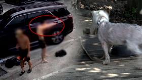 '비비탄 난사' 엄벌 탄원 3만 건 넘어…견주 2차 피해 호소