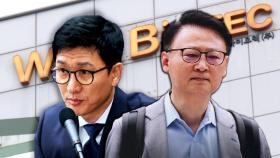 삼부와 함께 '우크라 재건주' 들썩…웰바이오텍 경영진 소환