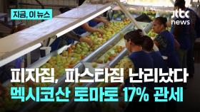 미국 피자집, 파스타집 난리났다...멕시코산 토마토 17% 관세