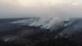 [뉴스 스토리] 불타는 브라질 열대 늪지…'비상사태' 선포