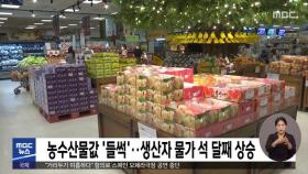 농수산물값 '들썩'…생산자 물가 석 달째 상승