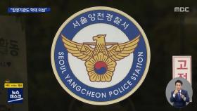 입양기관도 10여 차례 '집중 상담'…경찰 뒤늦게 재수사