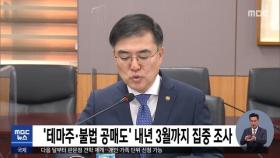 '테마주·불법 공매도' 내년 3월까지 집중 조사