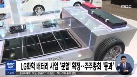 LG화학 배터리 사업 '분할' 확정…주주총회 '통과'