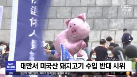 [이 시각 세계] 대만서 미국산 돼지고기 수입 반대 시위