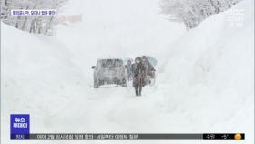 눈에 묻히고 떨어지고…폭설 인명피해 속출