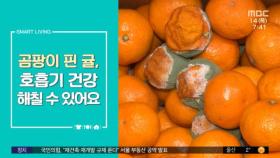 [스마트 리빙] 곰팡이 핀 귤, 호흡기 건강 해칠 수 있어요