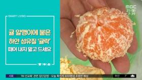 [스마트 리빙] 귤 알맹이에 붙은 하얀 섬유질 '귤락' 떼어 내지 말고 드세요