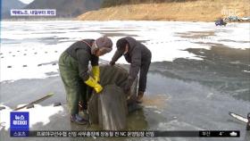 소양호 빙어 풍년에도…코로나로 어민 '울상'