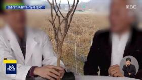 '농약 범벅' 고춧대가 특효약?…한의사 등 고발