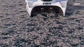 [뉴스 스토리] 1년에 1만 톤…바다 쓰레기 수거선