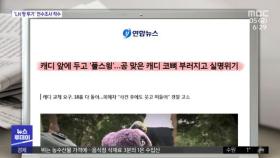 [뉴스 열어보기] 캐디 앞에 두고 '풀스윙'…공 맞은 캐디 코뼈 부러지고 실명위기 外