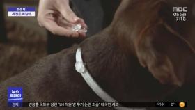 [이슈톡] 강아지 목숨 앗아간 '진드기 목걸이'