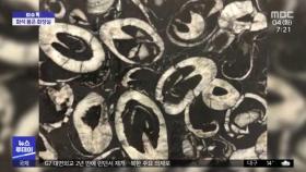 [이슈톡] 4억 년 전 조개 품은 중국 화장실