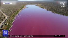 [이 시각 세계] 분홍색 '호수'…원인은 '폐기물 방류'