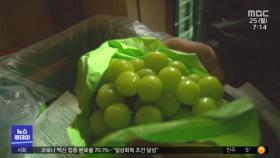 샤인머스켓 인기에‥경북 최고 과일은 '포도'