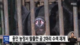 용인 농장서 탈출한 곰 2마리 수색 재개