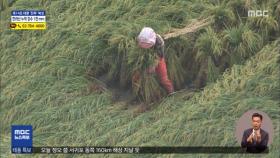 농경지 배수로 확보‥하우스 주변 점검