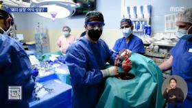 사람 몸에 '돼지' 심장‥미국서 첫 이식 수술